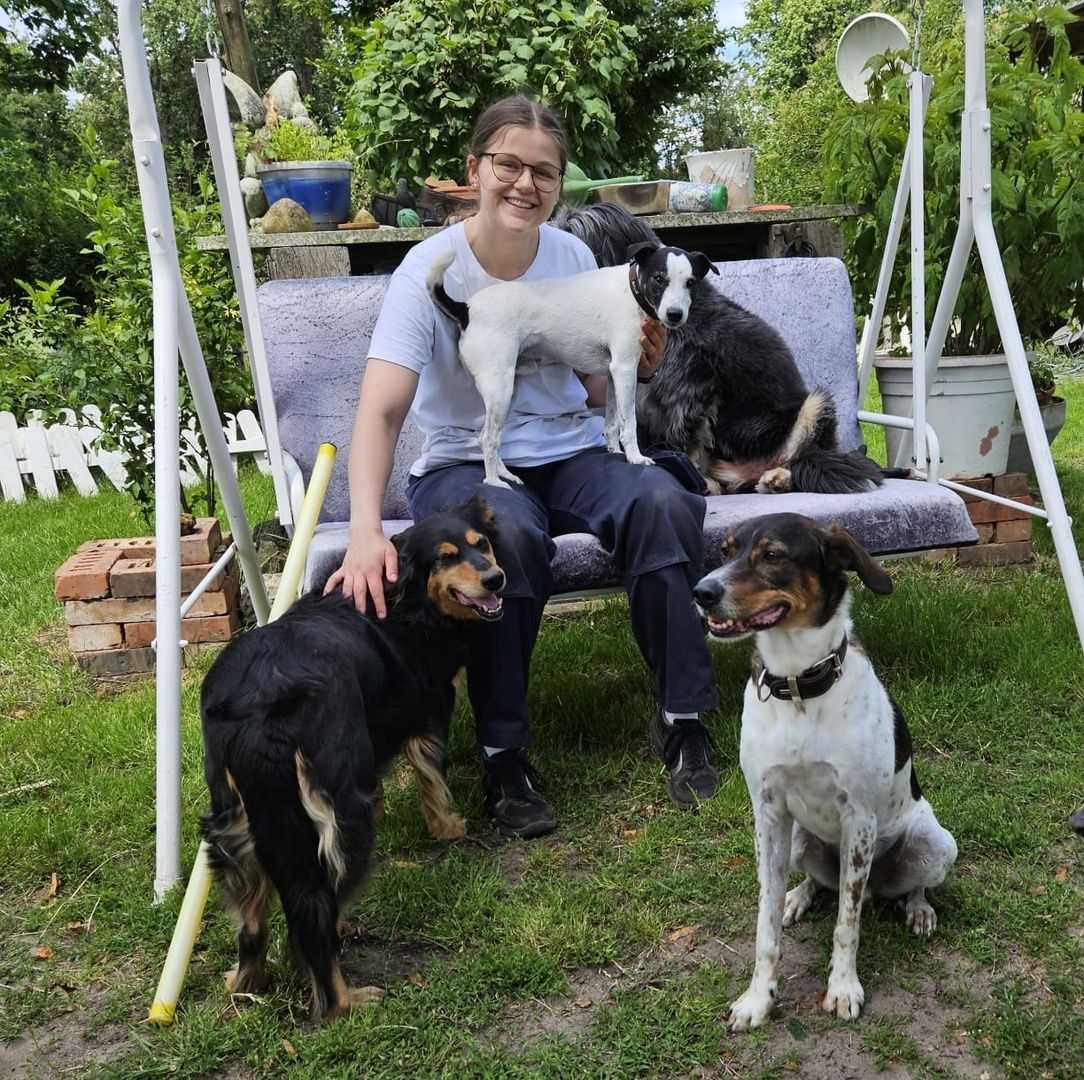 Lisa mit vielen Hunden auf einer Bank